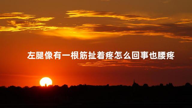 左腿像有一根筋扯着疼怎么回事也腰疼