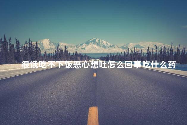 很饿吃不下饭恶心想吐怎么回事吃什么药