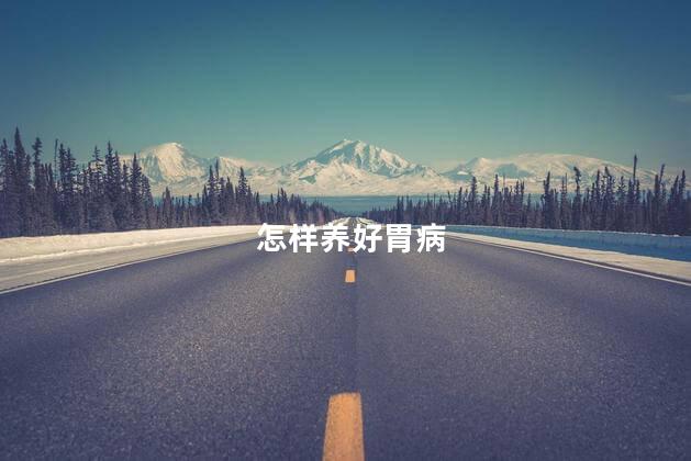 怎样养好胃病