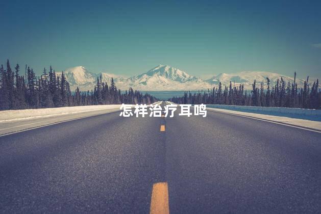 怎样治疗耳鸣