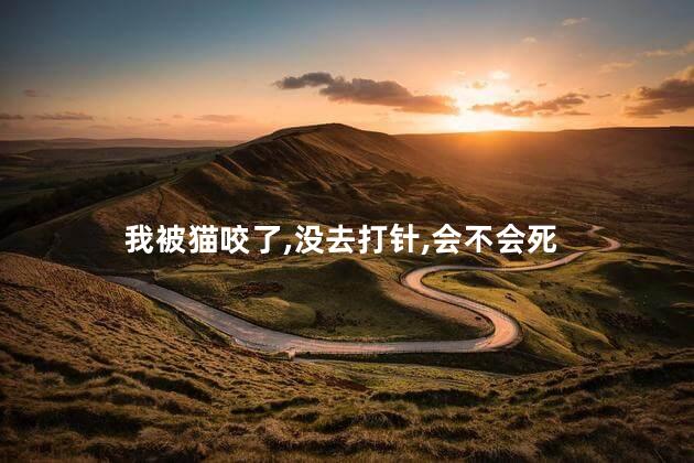 我被猫咬了,没去打针,会不会死