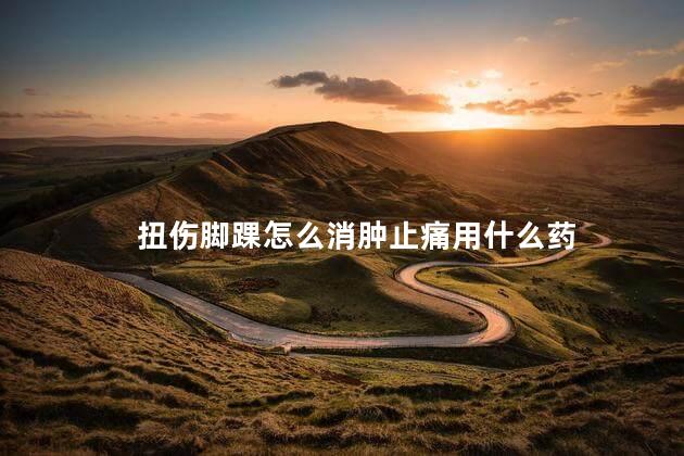 扭伤脚踝怎么消肿止痛用什么药