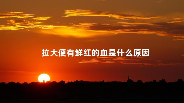 拉大便有鲜红的血是什么原因