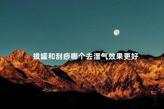 拔罐和刮痧哪个去湿气效果更好