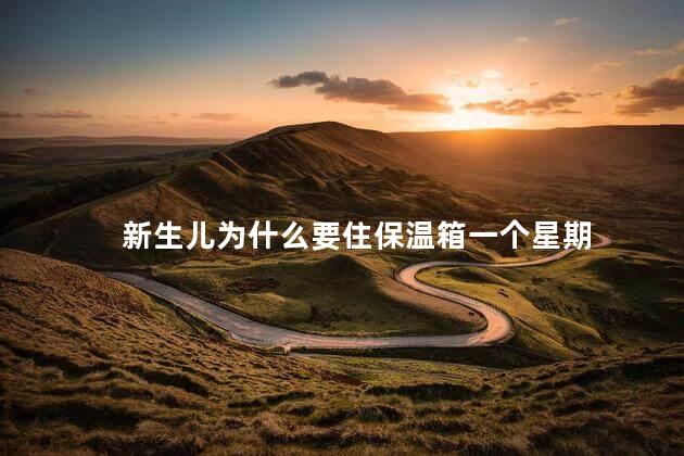 新生儿为什么要住保温箱一个星期