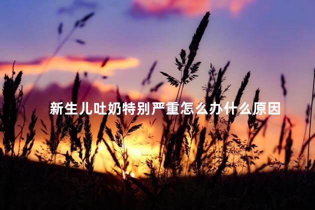 新生儿吐奶特别严重怎么办什么原因