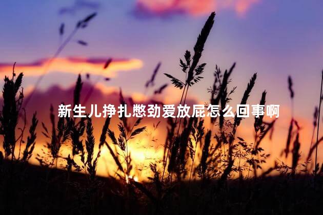 新生儿挣扎憋劲爱放屁怎么回事啊