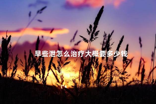 早些泄怎么治疗大概要多少钱