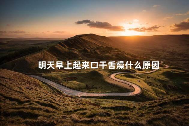 明天早上起来口干舌燥什么原因