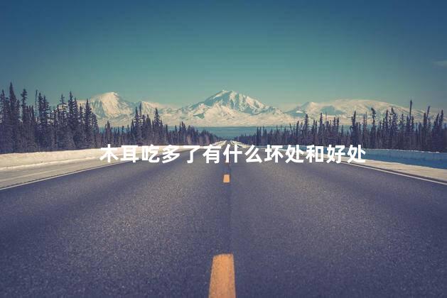 木耳吃多了有什么坏处和好处