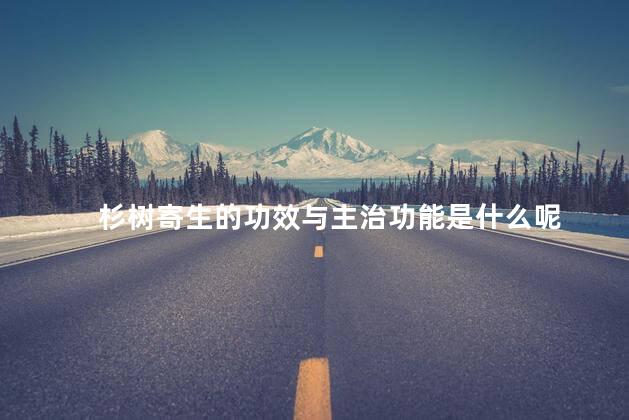 杉树寄生的功效与主治功能是什么呢