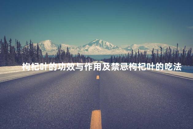 枸杞叶的功效与作用及禁忌枸杞叶的吃法