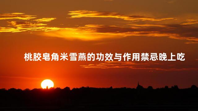 桃胶皂角米雪燕的功效与作用禁忌晚上吃怎么样？