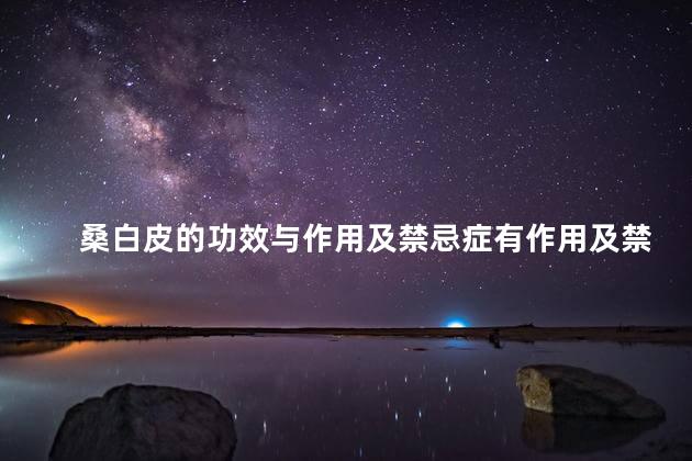 桑白皮的功效与作用及禁忌症有作用及禁忌