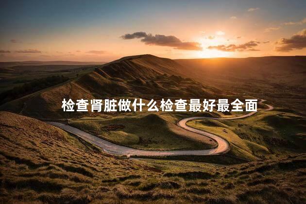 检查肾脏做什么检查最好最全面