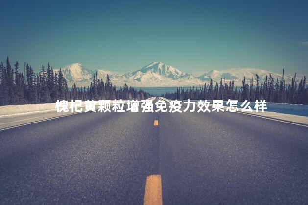 槐杞黄颗粒增强免疫力效果怎么样