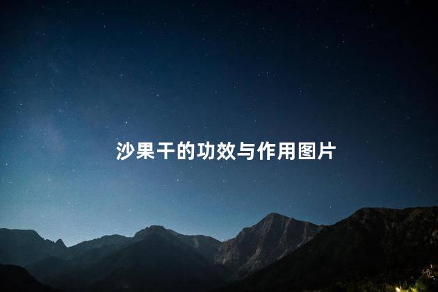 沙果干的功效与作用图片