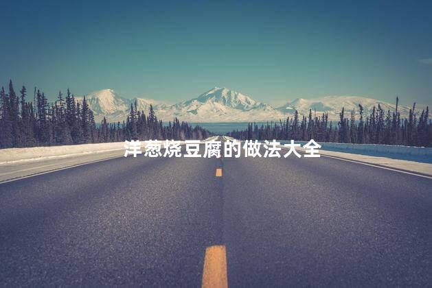洋葱烧豆腐的做法大全