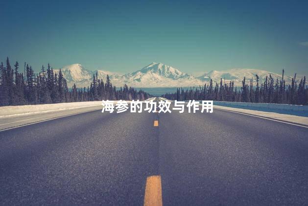 海参的功效与作用