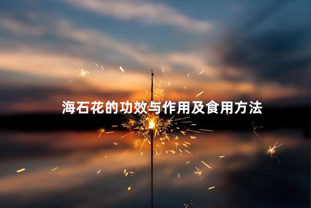 海石花的功效与作用及食用方法