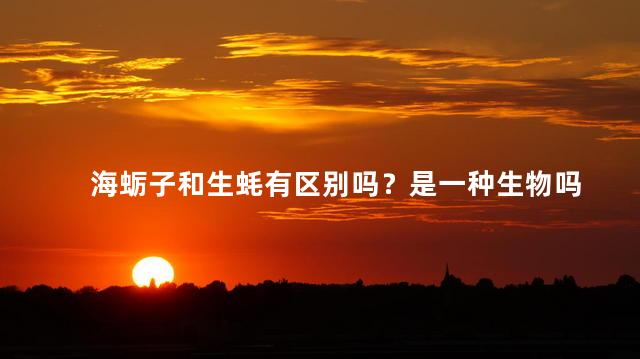 海蛎子和生蚝有区别吗？是一种生物吗