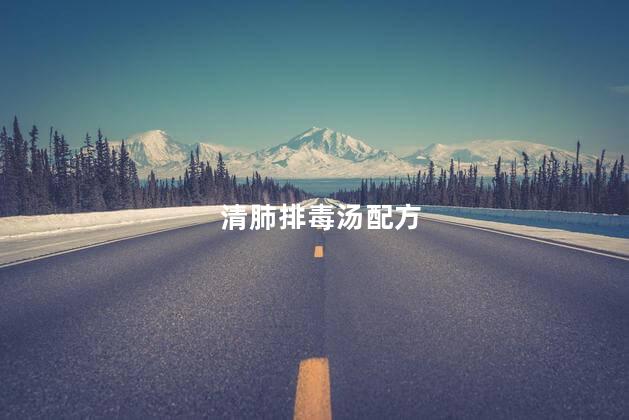 清肺排毒汤配方