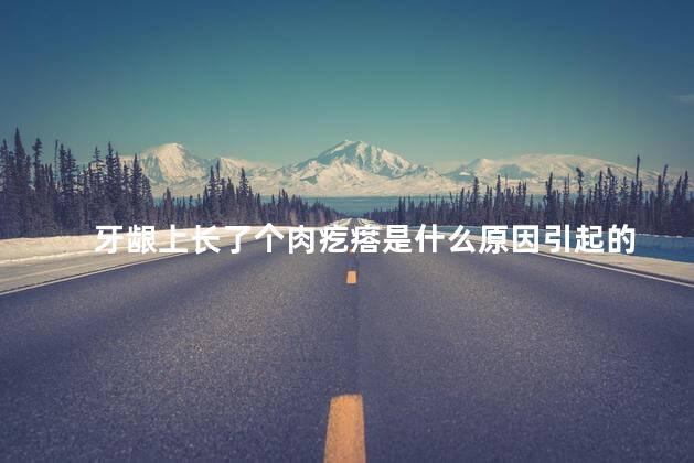 牙龈上长了个肉疙瘩是什么原因引起的