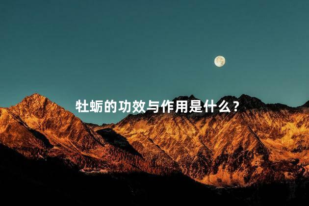 牡蛎的功效与作用是什么？