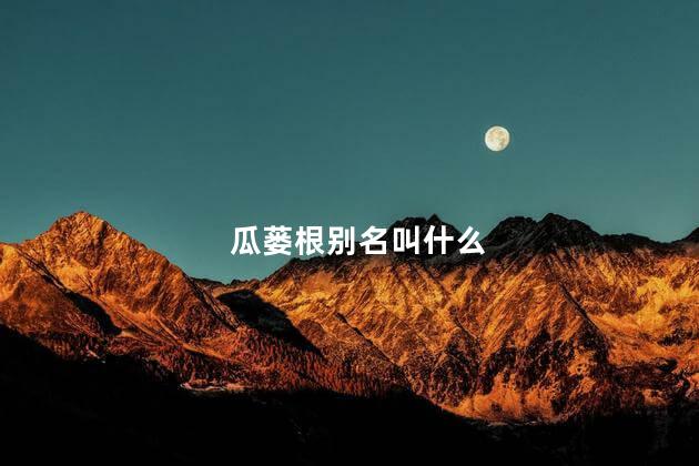 瓜蒌根别名叫什么