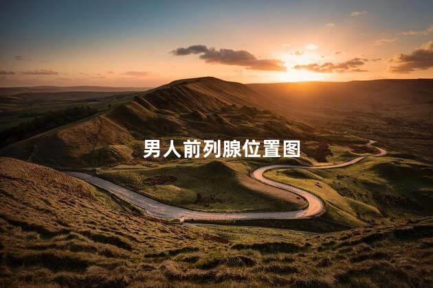 男人前列腺位置图