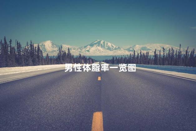男性体脂率一览图