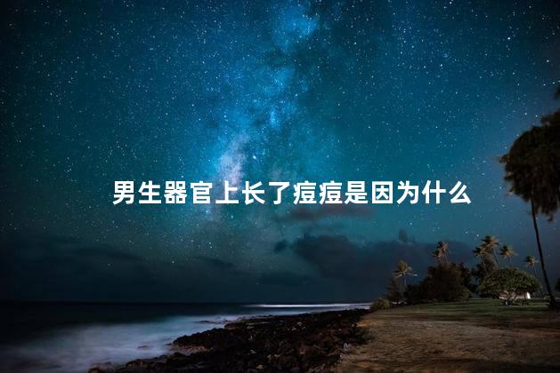 男生器官上长了痘痘是因为什么