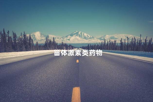 甾体激素类药物