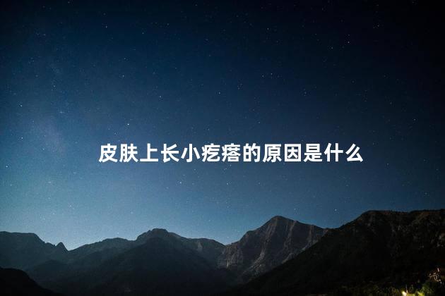 皮肤上长小疙瘩的原因是什么