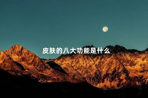 皮肤的八大功能是什么