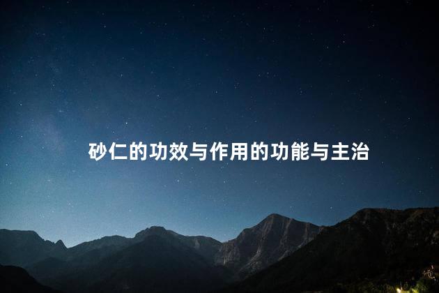砂仁的功效与作用的功能与主治