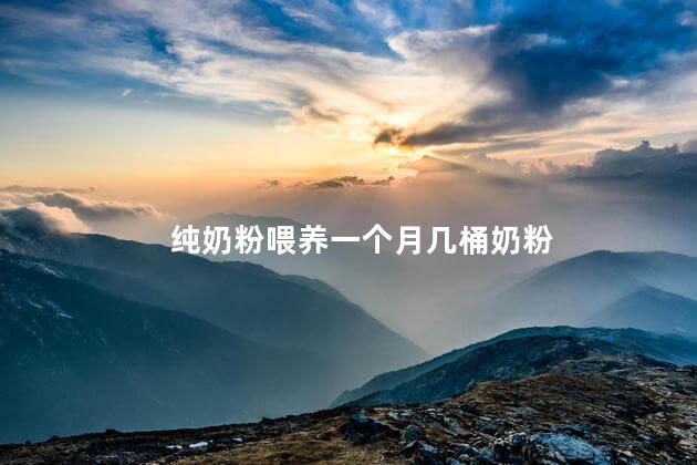 纯奶粉喂养一个月几桶奶粉