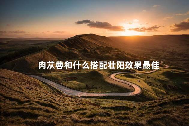 肉苁蓉和什么搭配壮阳效果最佳
