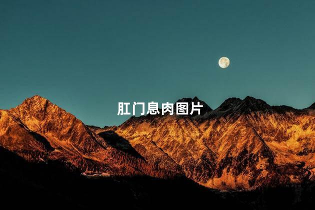 肛门息肉图片