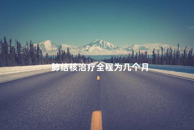 肺结核治疗全程为几个月