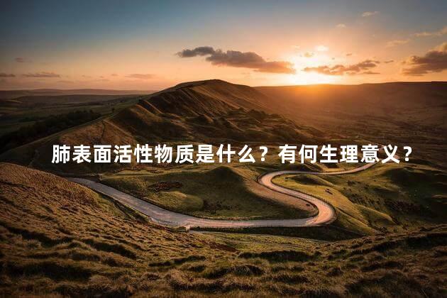 肺表面活性物质是什么？有何生理意义？