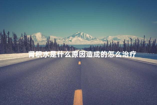 肾积水是什么原因造成的怎么治疗