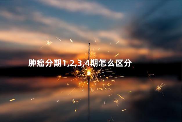 肿瘤分期1,2,3,4期怎么区分