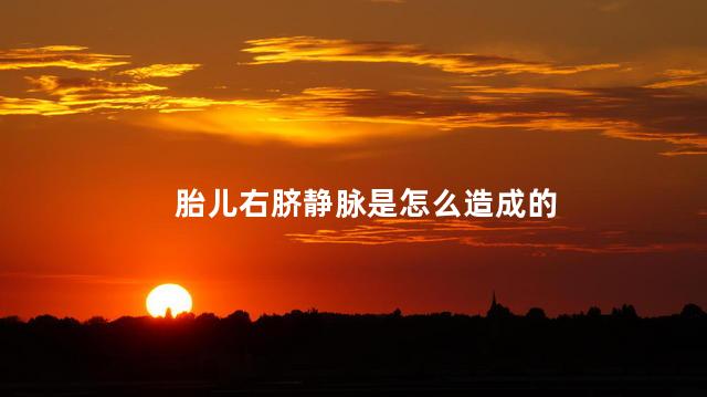胎儿右脐静脉是怎么造成的