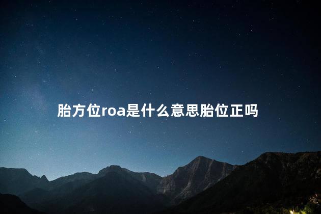 胎方位roa是什么意思胎位正吗