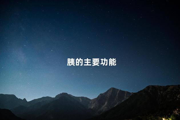 胰的主要功能