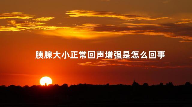 胰腺大小正常回声增强是怎么回事