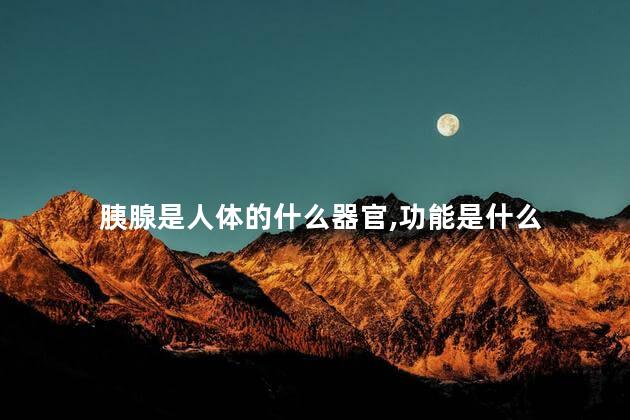 胰腺是人体的什么器官,功能是什么