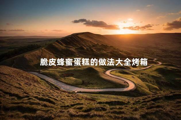 脆皮蜂蜜蛋糕的做法大全烤箱