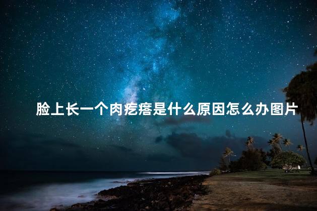 脸上长一个肉疙瘩是什么原因怎么办图片